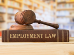 The US Department of Labor has several rules governing the rights of workers to fair pay, safe working space, and protection against employment discrimination among others. A number of those rules are...
