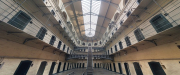 According to the Innocence Project, anywhere between 2.3 to 5 percent of people who are currently incarcerated are innocent. That means that up to 110,000 inmates across the U.S. were falsely accused ...